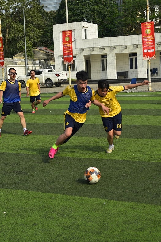 Quân Văn Phạm từ Odin tại Niteco Cup 2022