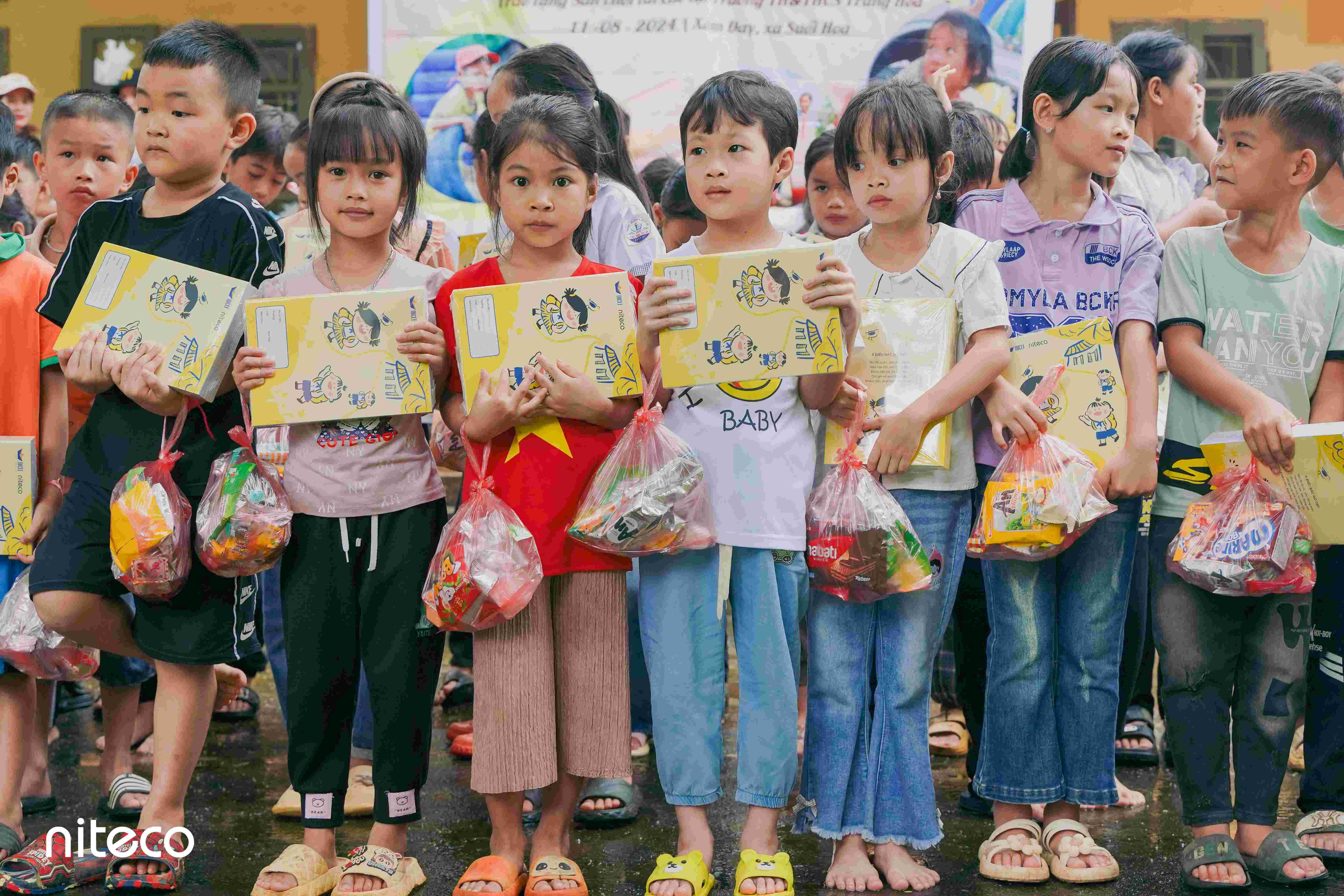 Niteco-hoa binh