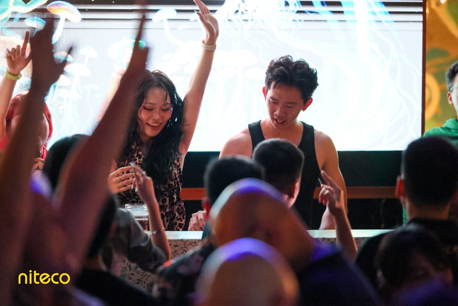 Niteco DJ performance at the anniversary after-party.