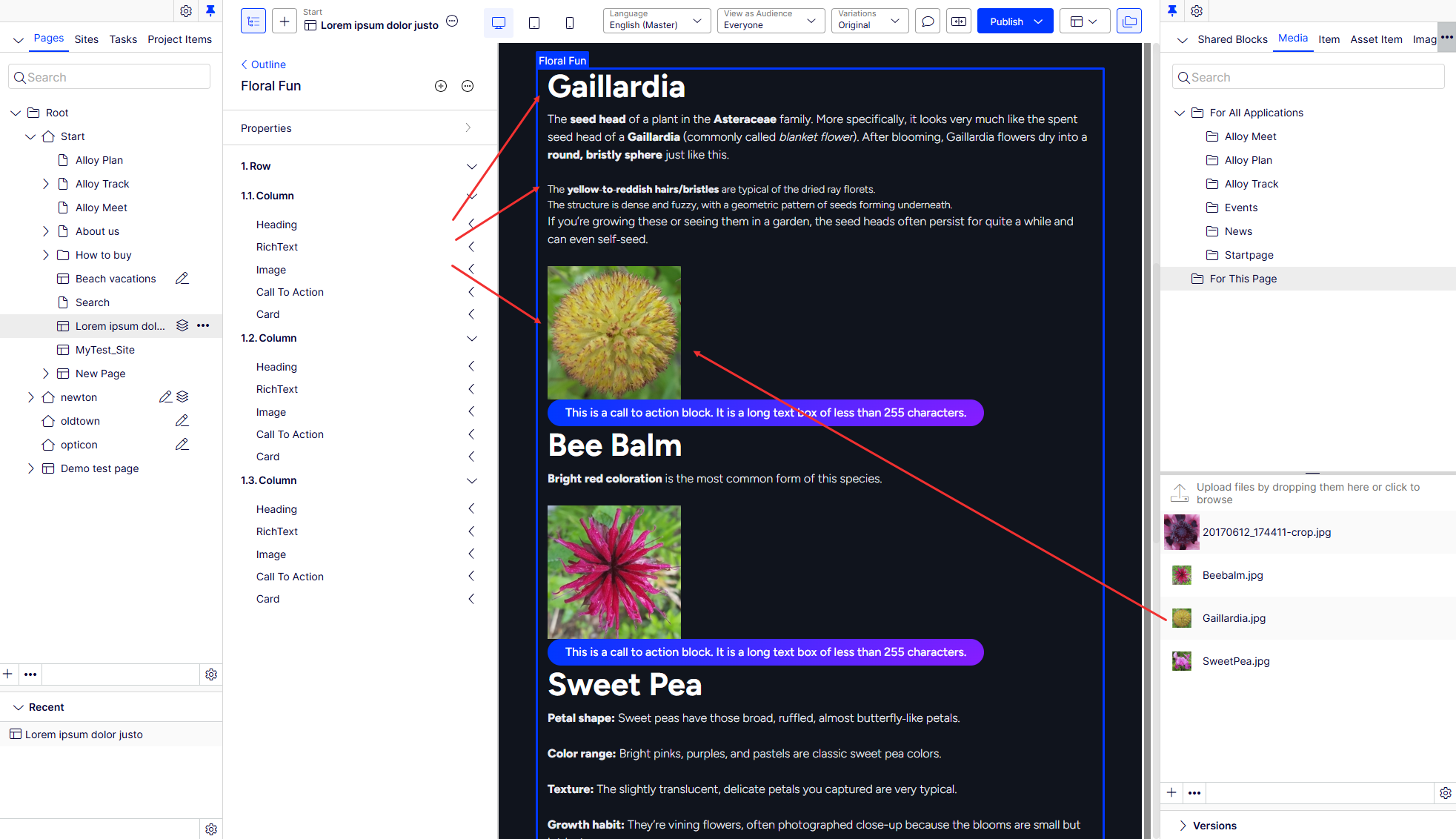 Optimizely Visual Builder