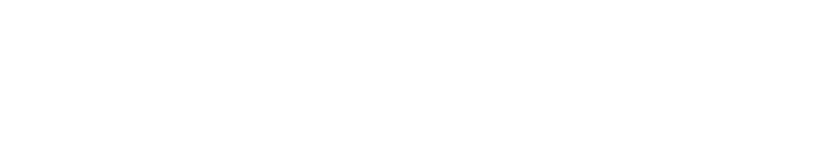 Wilson Security