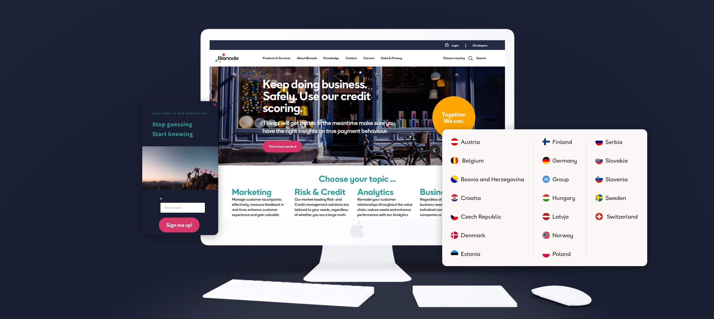 Bisnode business credit scoring and risk management services on desktop screen