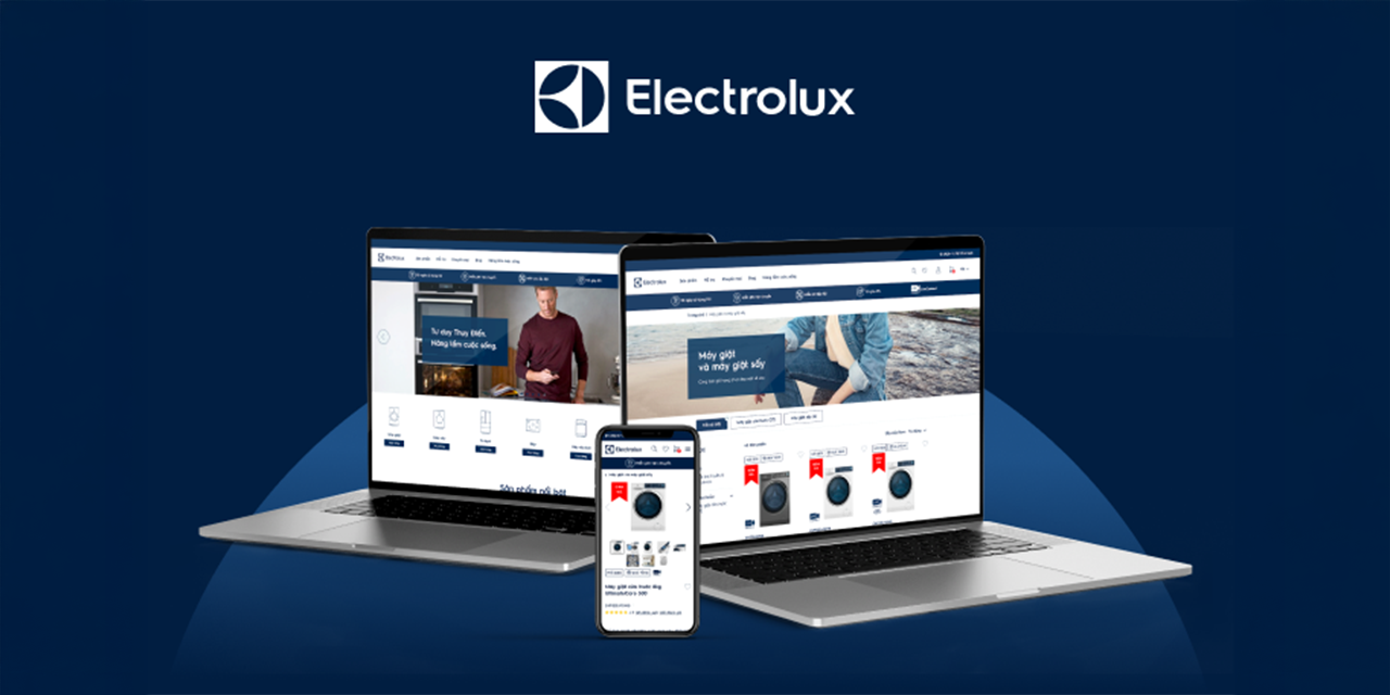 20% more traffic and more conversions with SEO services for 15 Electrolux websites