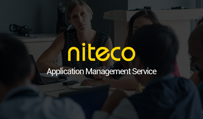 Niteco AMS – 24/7 business value after go-live