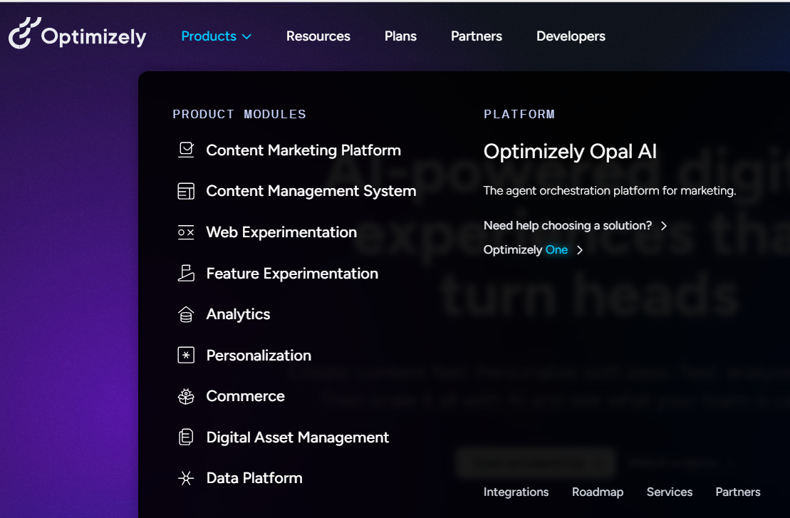 optimizely one